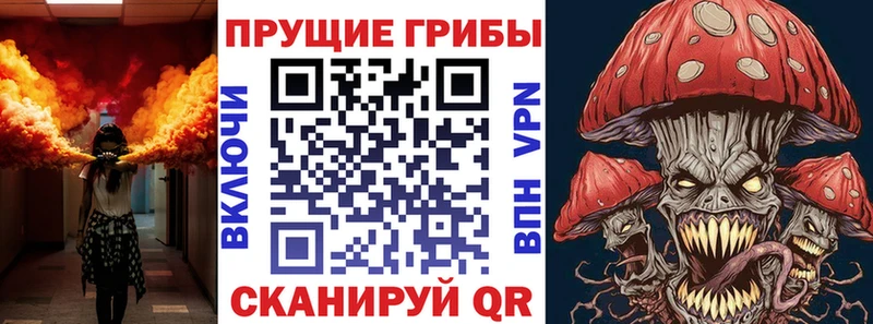 mega ссылки  Жигулёвск  Галлюциногенные грибы Psilocybine cubensis 